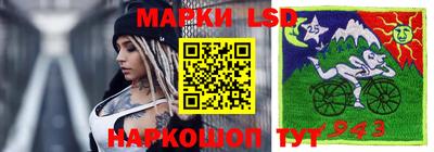 прущие грибы Будённовск