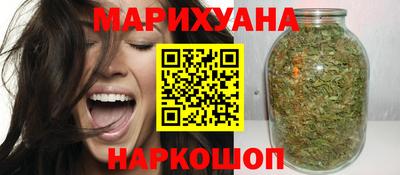 прущие грибы Будённовск