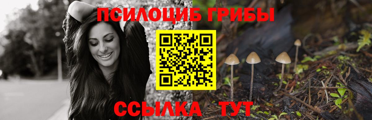 Галлюциногенные грибы Cubensis  Вход с VPN  Электрогорск  Галлюциногенные грибы прущие грибы 